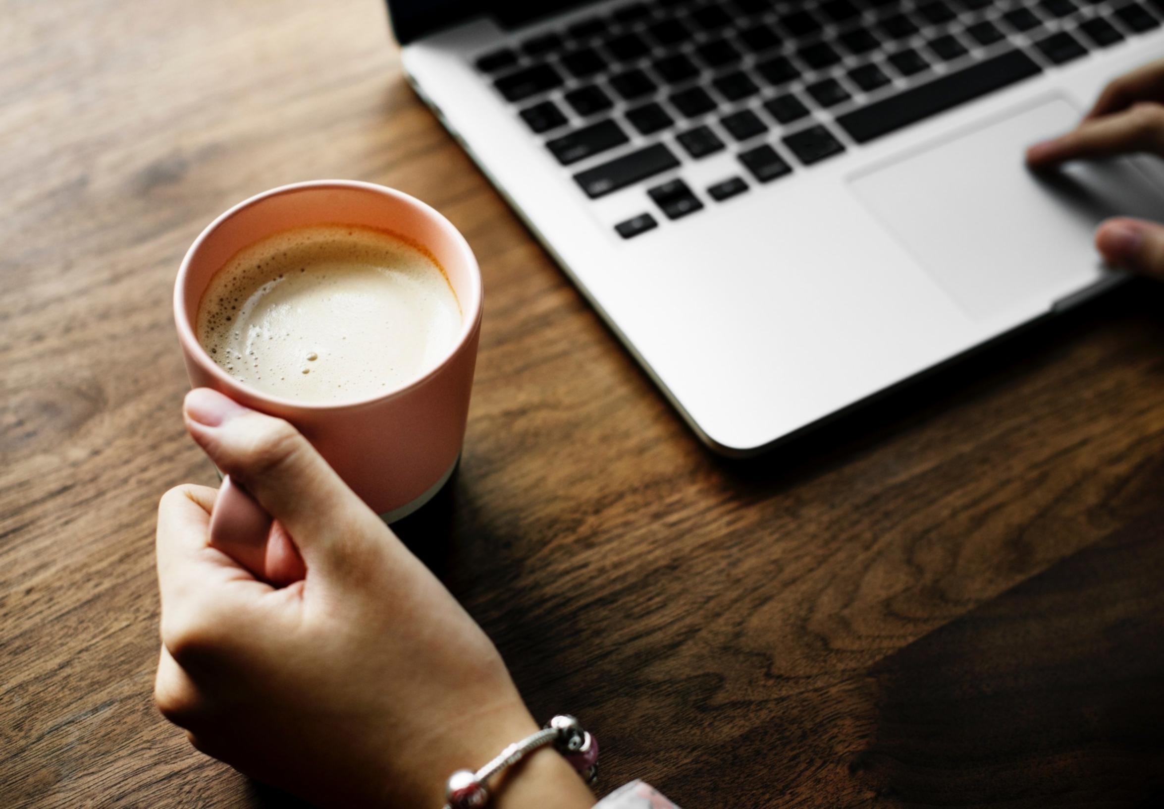 Early fashion webinar session documentation